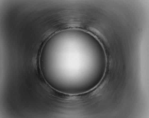 X0000088881162200706151806