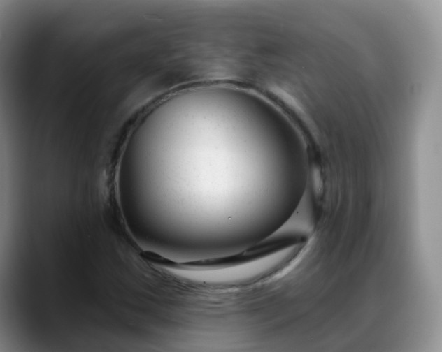 X0000088881163200706151806