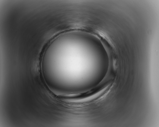 X0000088881164200706151806