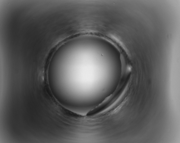 X0000088881165200706151806