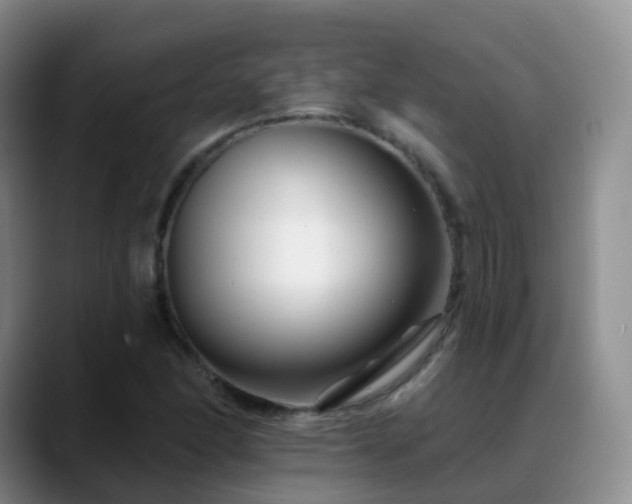 X0000088881166200706151806