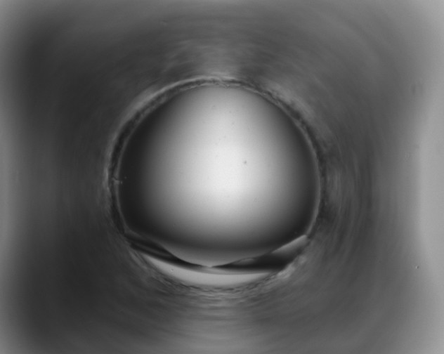 X0000088881168200706151806