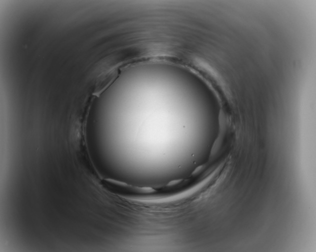 X0000088881169200706151806