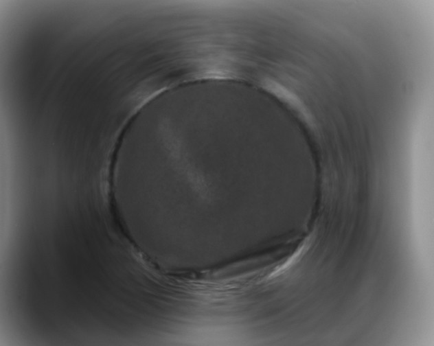 X0000088881170200706151806