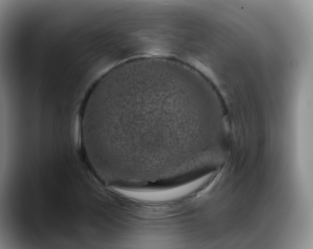 X0000088881171200706151806