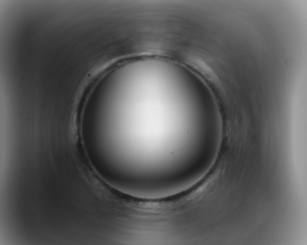 X0000088881172200706151806