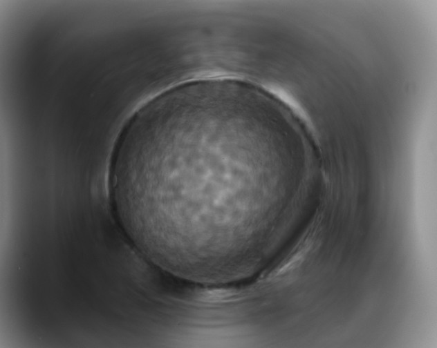 X0000088881173200706151806