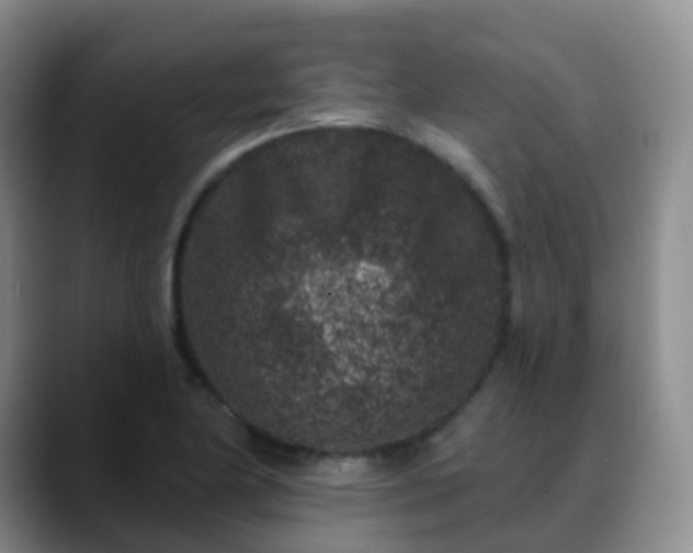 X0000088881174200706151806