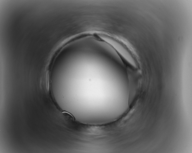 X0000088881175200706151806