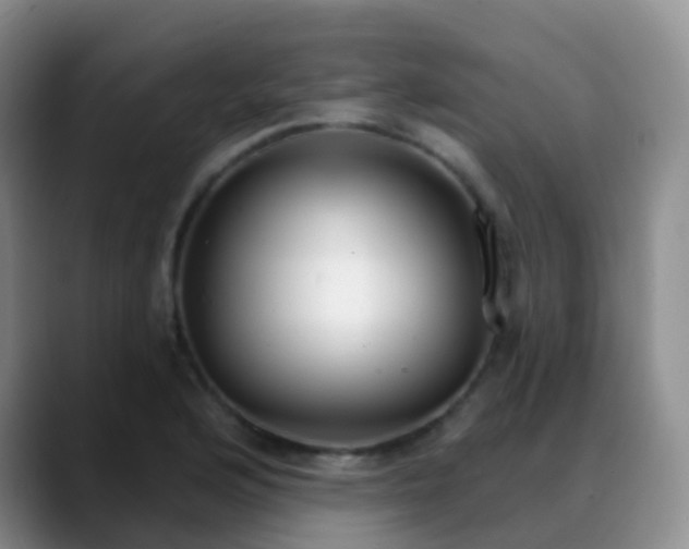 X0000088881176200706151806