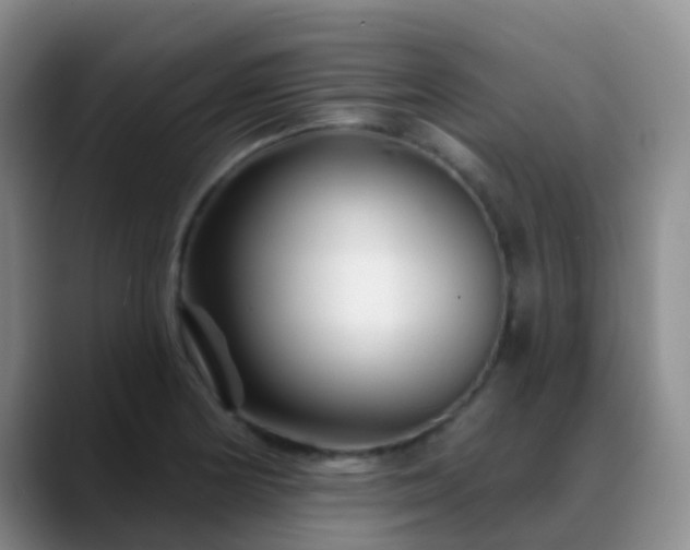 X0000088881178200706151806