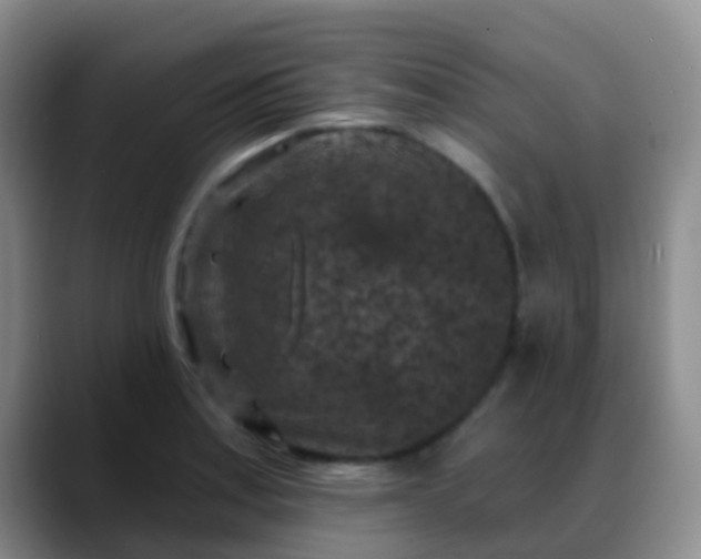 X0000088881179200706151806