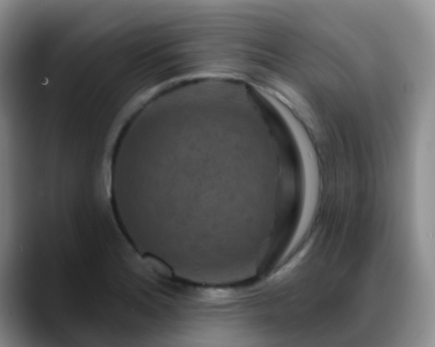 X0000088881180200706151806