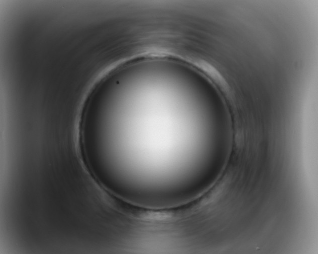 X0000088881183200706151806