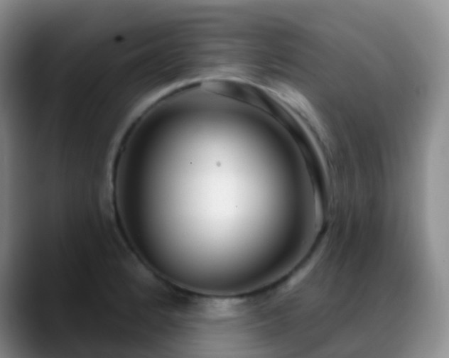 X0000088881184200706151806