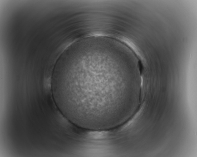 X0000088881185200706151806