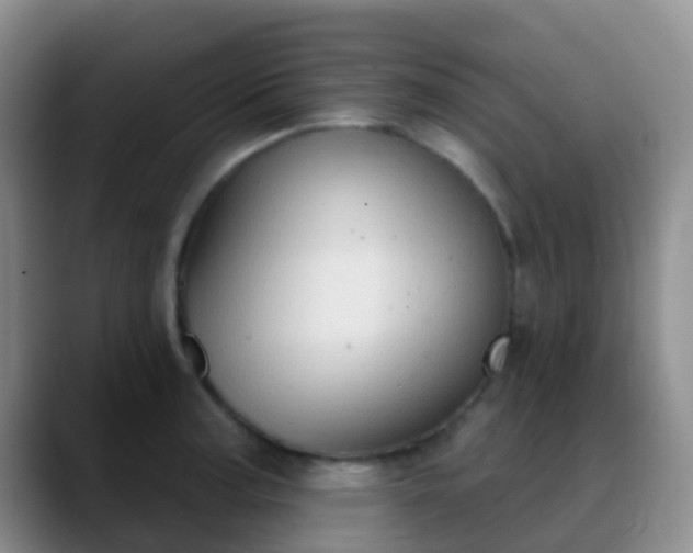 X0000088881187200706151806