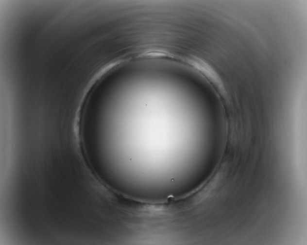 X0000088881190200706151806