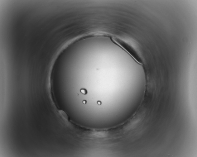 X0000088881191200706151806