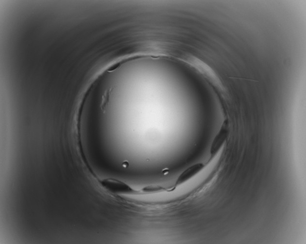 X0000088881192200706151806