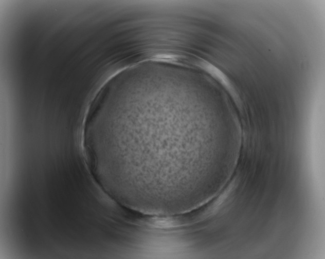 X0000088881194200706151806