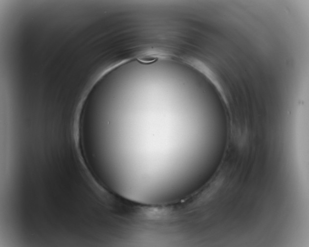 X0000088881195200706151806