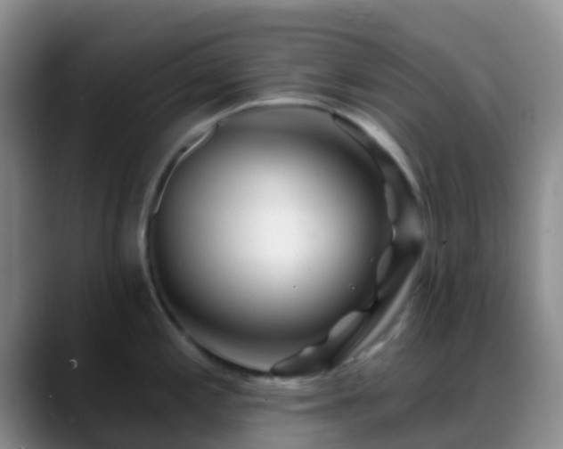 X0000088881197200706151806