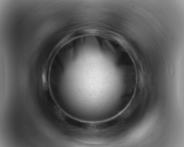 X0000088881198200706151806