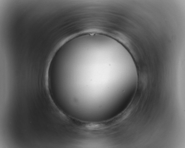 X0000088881199200706151806