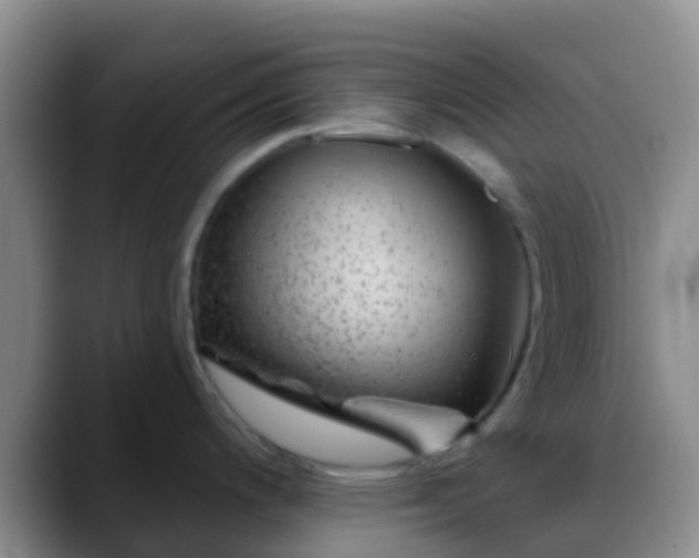 X0000088881200200706151806