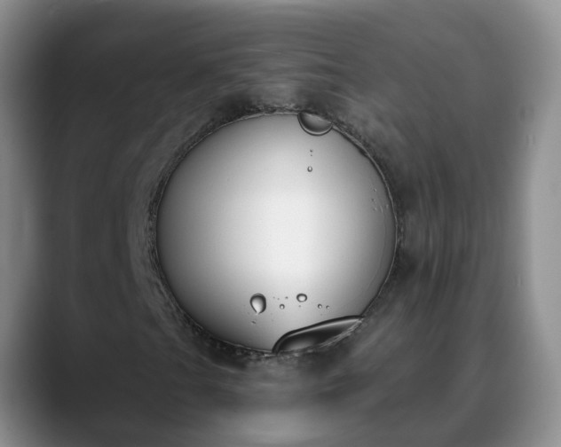 X0000088881201200706151805