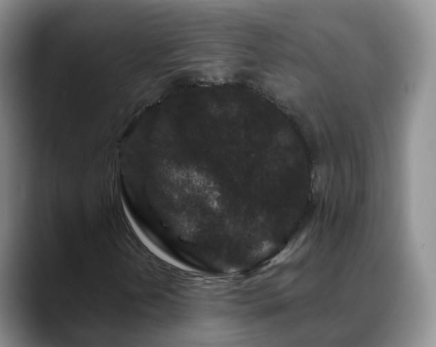 X0000088881202200706151805