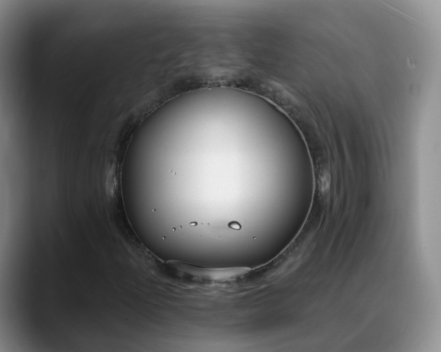 X0000088881204200706151805