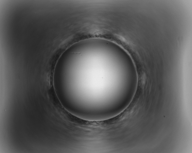 X0000088881205200706151805