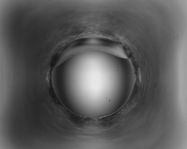 X0000088881206200706151805