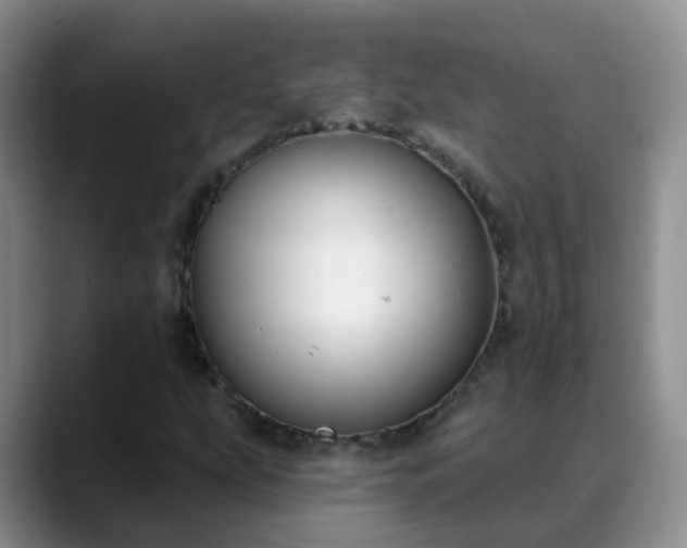 X0000088881207200706151805