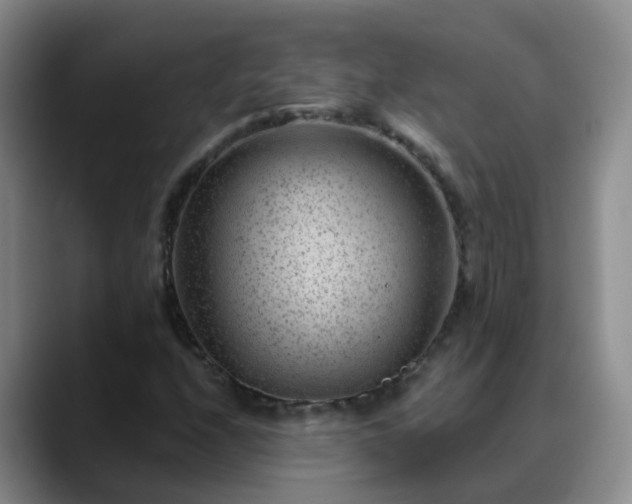 X0000088881208200706151805