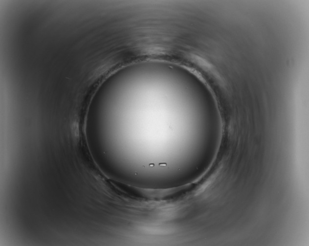 X0000088881209200706151805