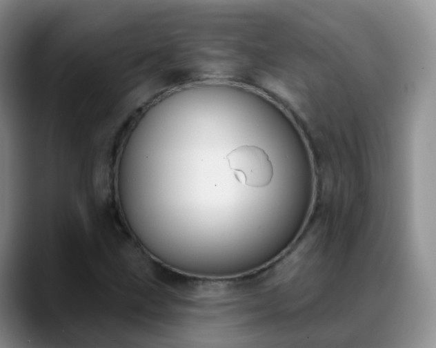 X0000088881211200706151805