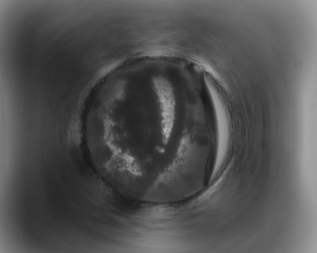 X0000088881213200706151805