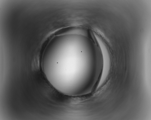 X0000088881214200706151805