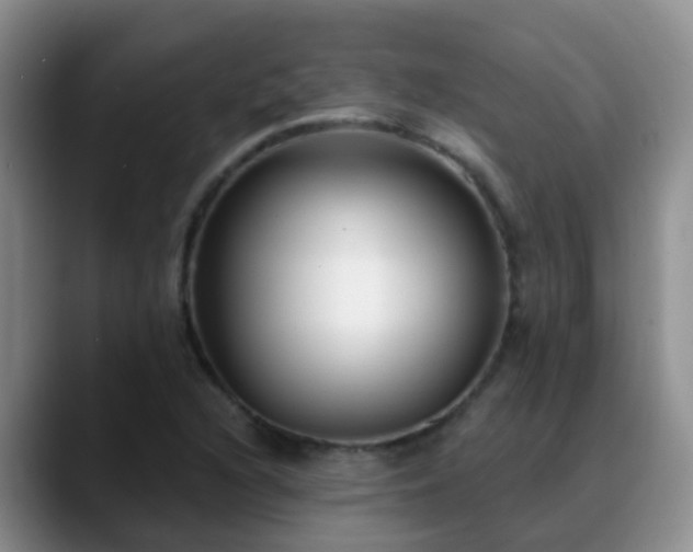 X0000088881216200706151805