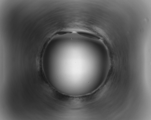 X0000088881217200706151805