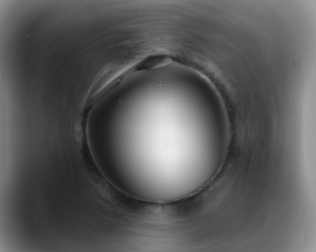 X0000088881218200706151805