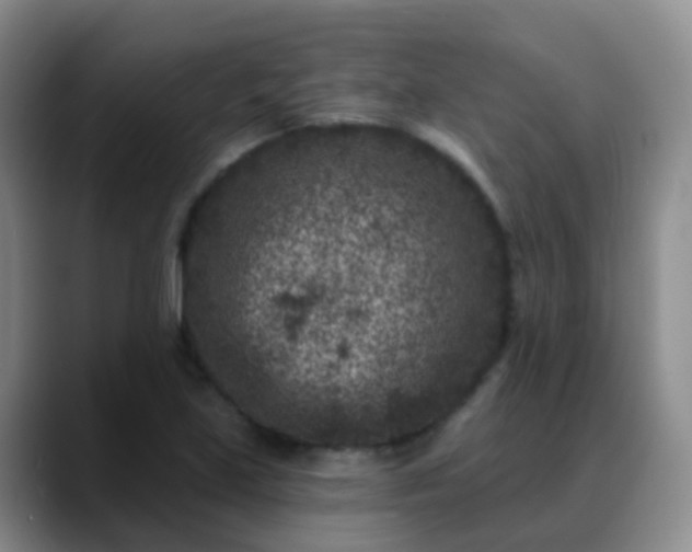 X0000088881219200706151805