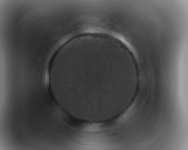 X0000088881221200706151805