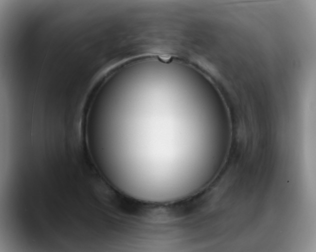 X0000088881222200706151805