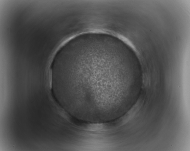 X0000088881223200706151805