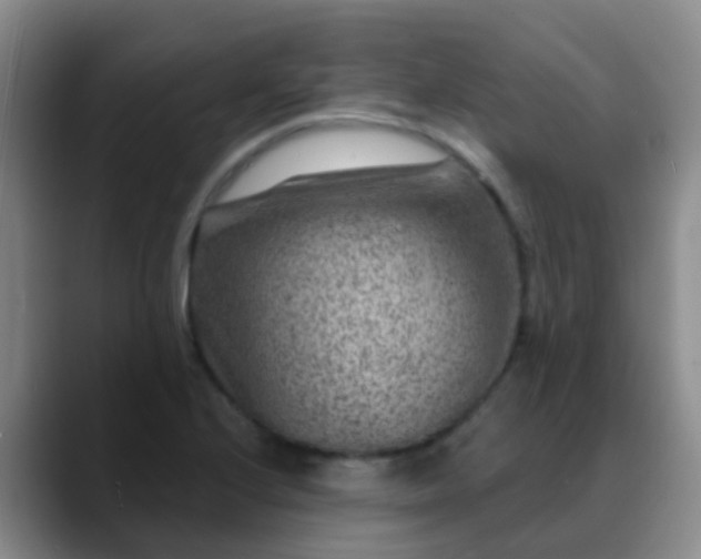 X0000088881224200706151805