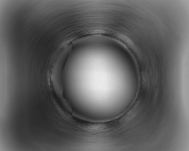 X0000088881225200706151805